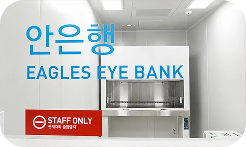 Corneal Transplantation