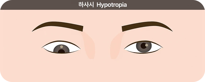 하사시